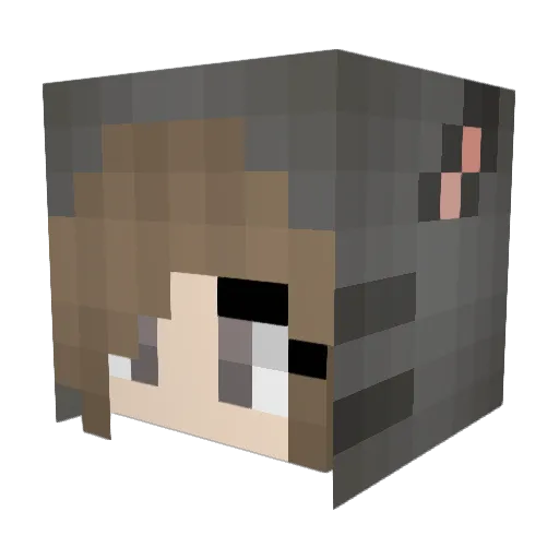 serenity__ Minecraft avatar head, 3D render