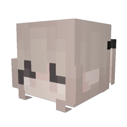 serenyah Minecraft avatar head, 3D render