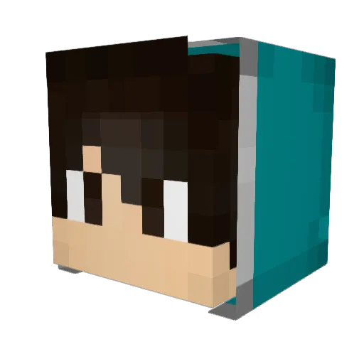 sergax Minecraft avatar head, 3D render