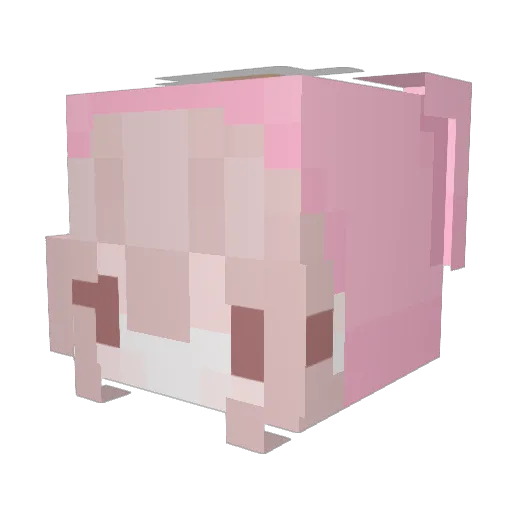 sergentepinguino Minecraft avatar head, 3D render