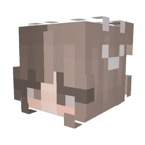 seriliza Minecraft avatar head, 3D render