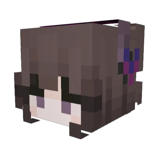 serner Minecraft avatar head, 3D render