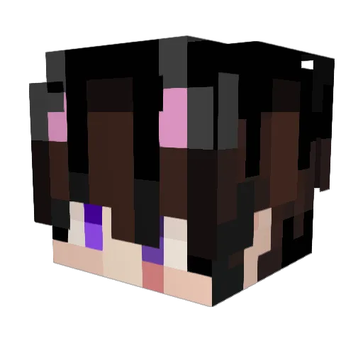 serorero Minecraft avatar head, 3D render