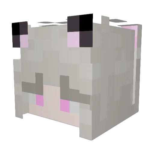 serpensnoctis Minecraft avatar head, 3D render