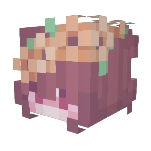 serummmm114514 Minecraft avatar head, 3D render