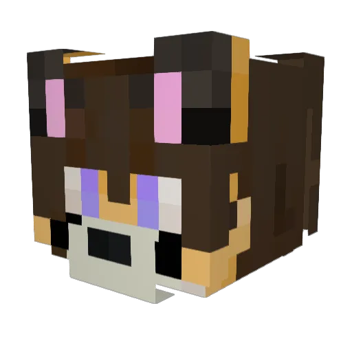 servalmeow Minecraft avatar head, 3D render