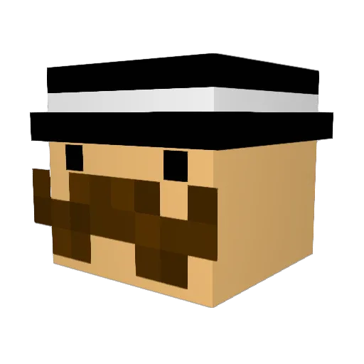 servertest123 Minecraft avatar head, 3D render