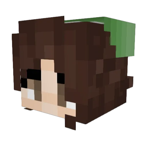 sesameseedd Minecraft avatar head, 3D render