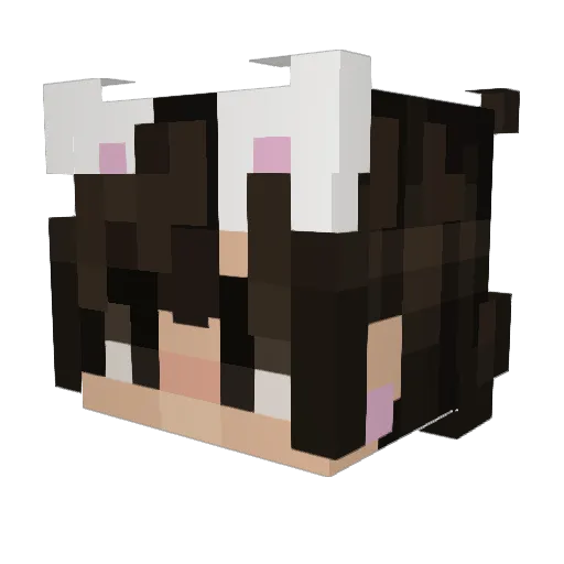 sesese21 Minecraft avatar head, 3D render