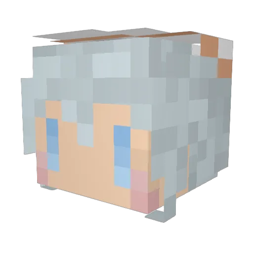 sesson111 Minecraft avatar head, 3D render