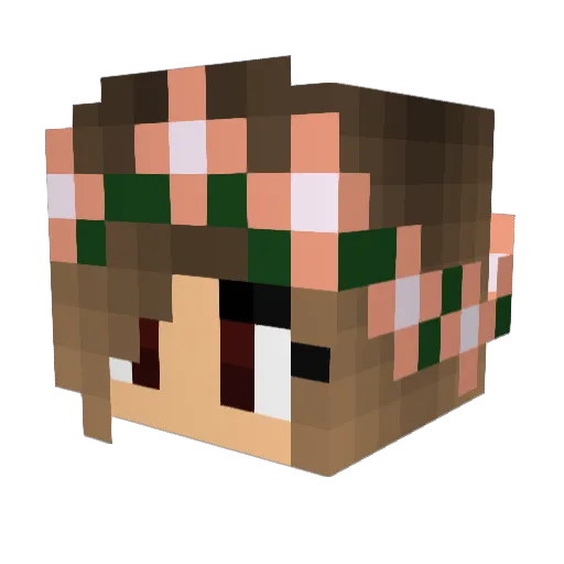 sessy450 Minecraft avatar head, 3D render
