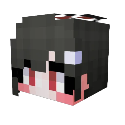 set_page Minecraft avatar head, 3D render
