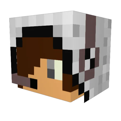 setagnave1121 Minecraft avatar head, 3D render