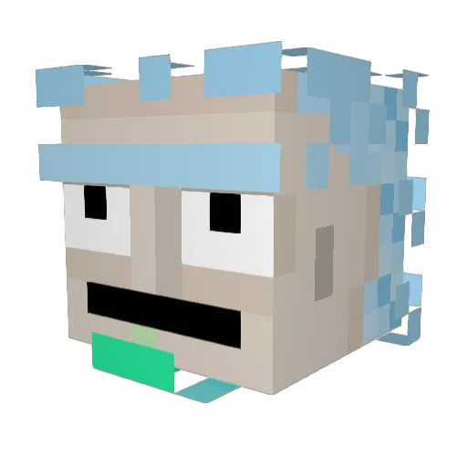 setdisplay Minecraft avatar head, 3D render