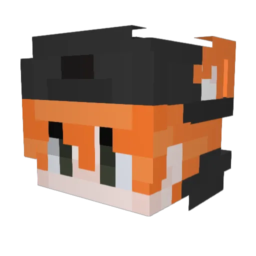 seths15312 Minecraft avatar head, 3D render