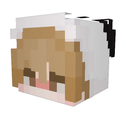 setopo Minecraft avatar head, 3D render