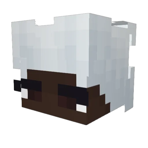 setsketch Minecraft avatar head, 3D render