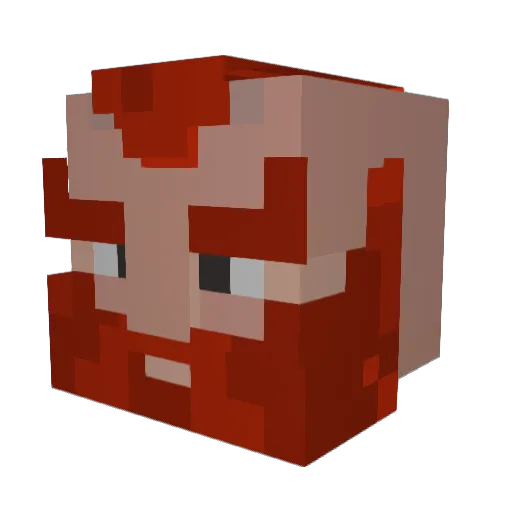 sett1ngs Minecraft avatar head, 3D render