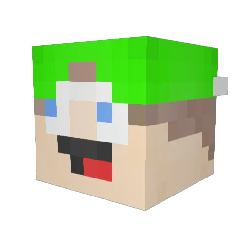 seujorge Minecraft avatar head, 3D render