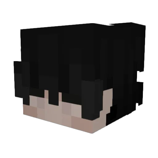 seujurandir Minecraft avatar head, 3D render