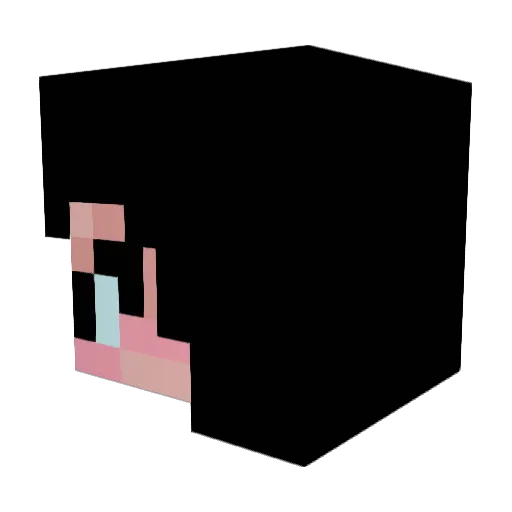 seulaeri Minecraft avatar head, 3D render