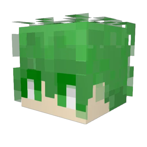 seulea Minecraft avatar head, 3D render