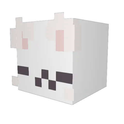 seung6 Minecraft avatar head, 3D render