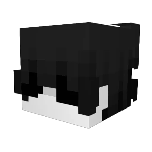seungjun0818 Minecraft avatar head, 3D render