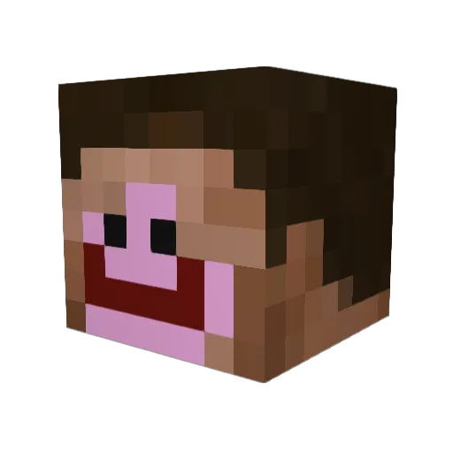 seva_22 Minecraft avatar head, 3D render