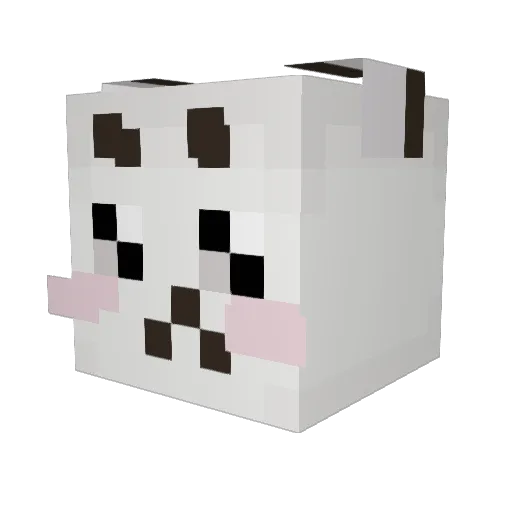 sevenee707 Minecraft avatar head, 3D render
