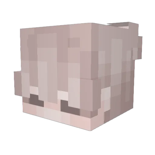 sewki_ Minecraft avatar head, 3D render