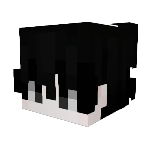 sewp Minecraft avatar head, 3D render