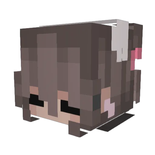 sewphi Minecraft avatar head, 3D render
