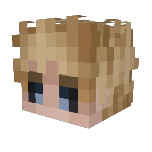 sexEndo Minecraft avatar head, 3D render