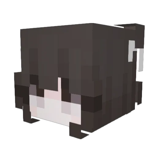 sexchat Minecraft avatar head, 3D render