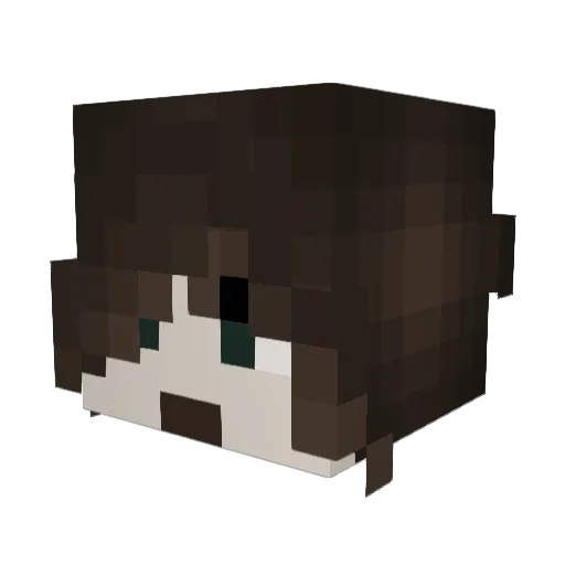 sexybeachbabe Minecraft avatar head, 3D render