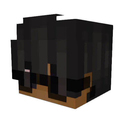 seyche11es Minecraft avatar head, 3D render