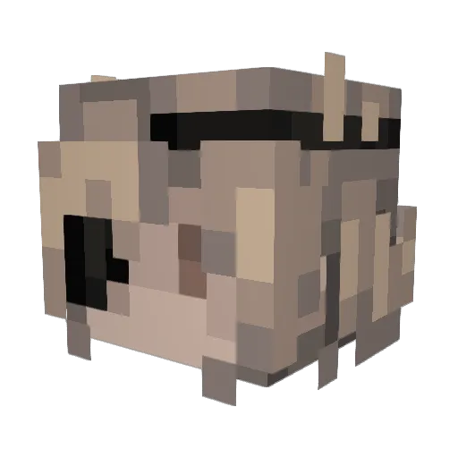 seyoga Minecraft avatar head, 3D render