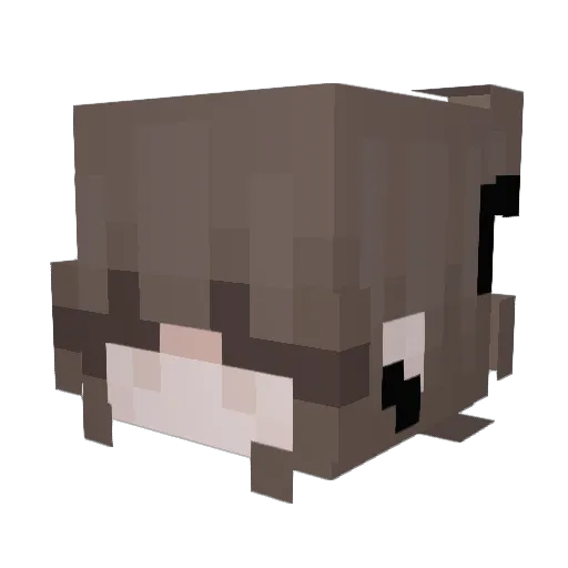 sez_brandsma Minecraft avatar head, 3D render