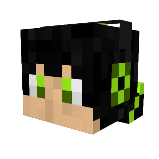 sfctw1 Minecraft avatar head, 3D render