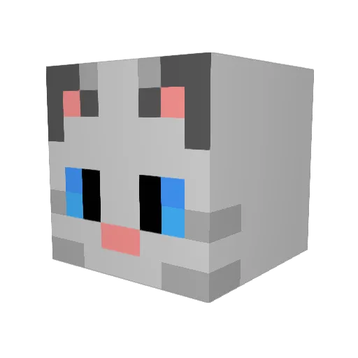sfeeroyd Minecraft avatar head, 3D render