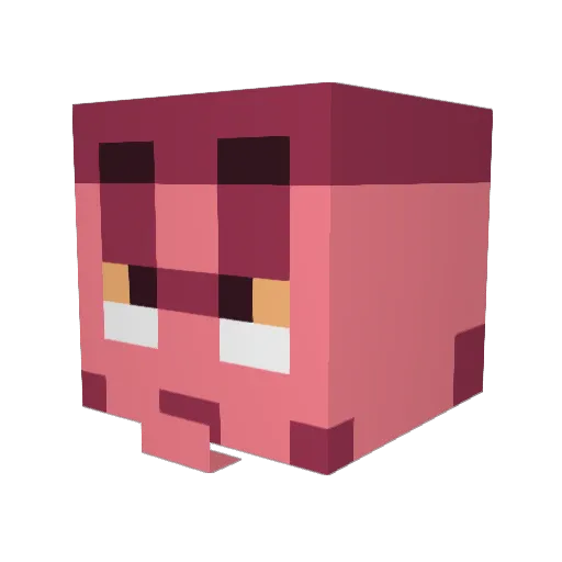 sfforth4 Minecraft avatar head, 3D render