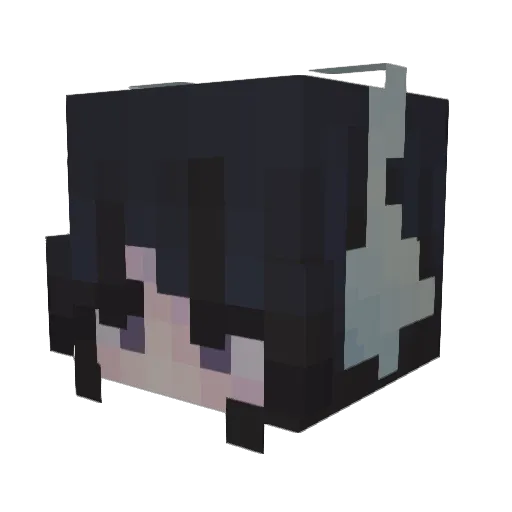 sfgc1 Minecraft avatar head, 3D render