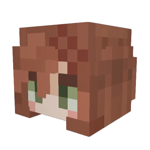 sfhsp Minecraft avatar head, 3D render