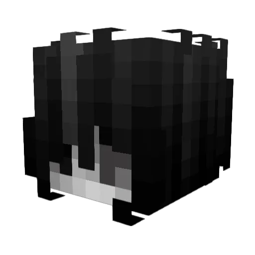 sfigata Minecraft avatar head, 3D render
