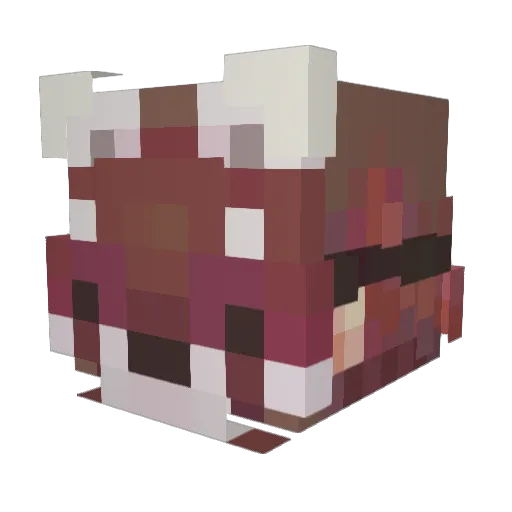sfish00 Minecraft avatar head, 3D render
