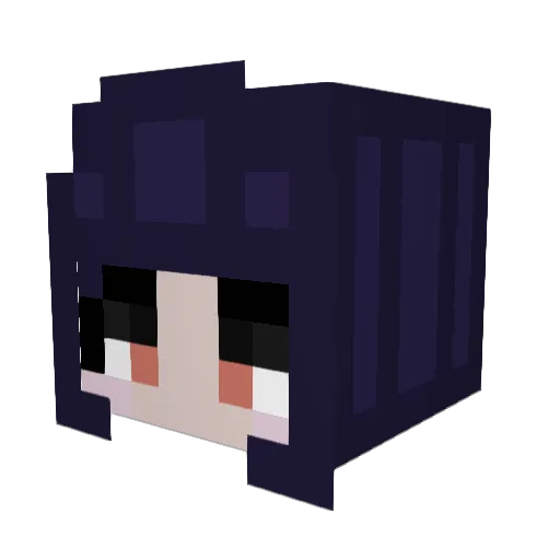 sfisher923 Minecraft avatar head, 3D render