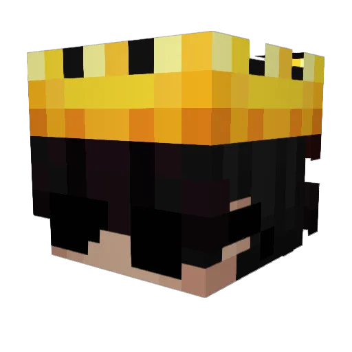 sflynn10 Minecraft avatar head, 3D render