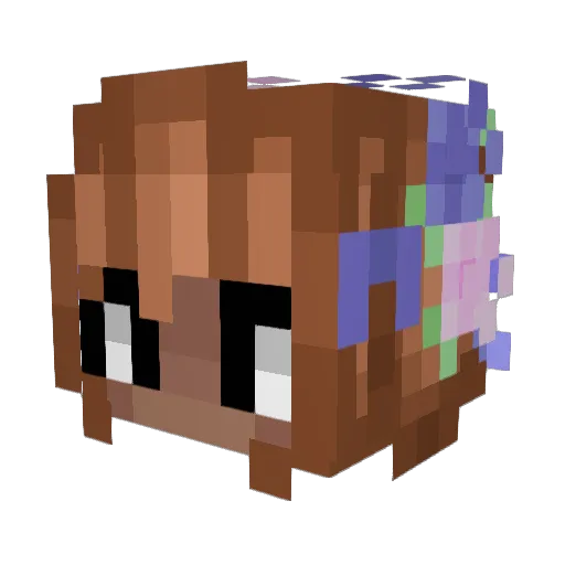 sfoopalen6 Minecraft avatar head, 3D render