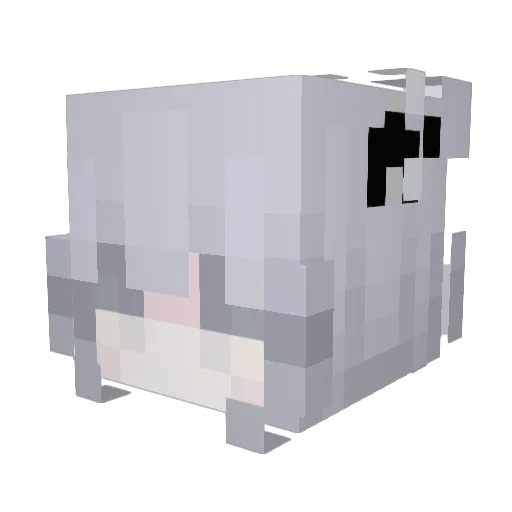 sfortunata Minecraft avatar head, 3D render